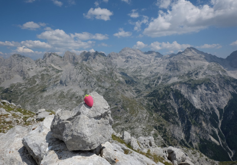 Unternehmensberatung Salzburg Erdbeere Tour Blog Beratung Gründer Start-up Coaching Unternehmensberater