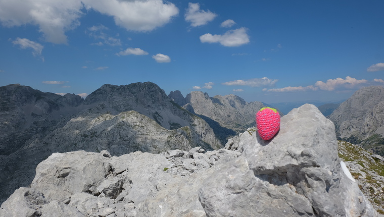 Unternehmensberatung Salzburg Erdbeere Tour Blog Beratung Gründer Start-up Coaching Unternehmensberater